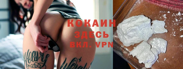 крисы Наволоки