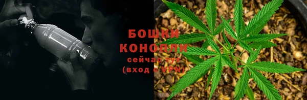 крисы Наволоки