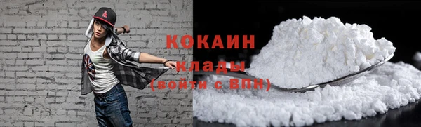 крисы Наволоки