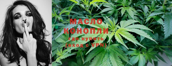 крисы Наволоки