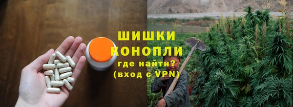 крисы Наволоки
