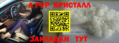 бошки Дубна