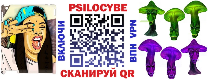 Псилоцибиновые грибы GOLDEN TEACHER  наркота  Новокубанск 