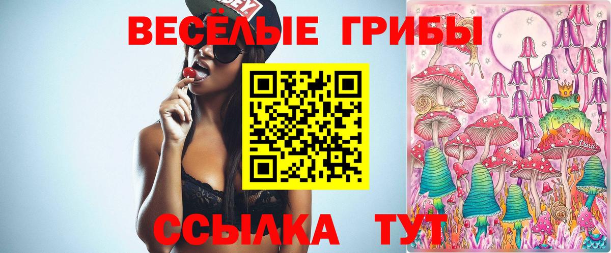 Галлюциногенные грибы Magic Shrooms  Новокубанск 