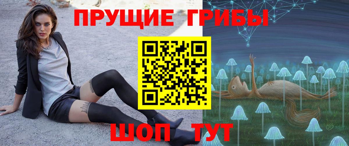 Псилоцибиновые грибы GOLDEN TEACHER Новокубанск