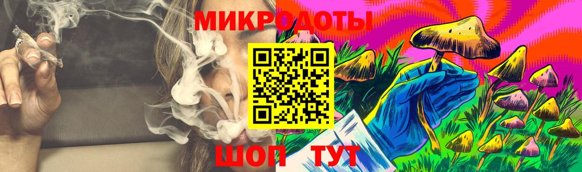 Псилоцибиновые грибы Psilocybine cubensis Новокубанск